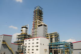 塑料廠成功開發(fā)雙峰聚乙烯新產品，技術突破引領行業(yè)升級